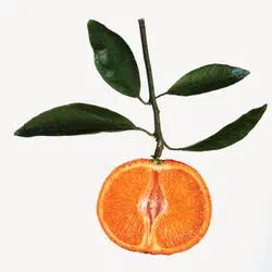 mandarin