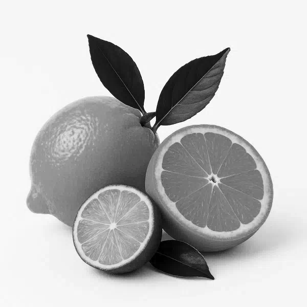 aroma-family-citrusovye-black